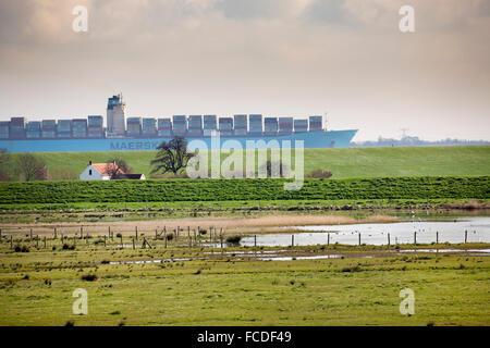 Paesi Bassi, Ossenisse, fiume Westerschelde. Nave Container Foto Stock