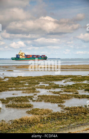 Paesi Bassi, Ossenisse, fiume Westerschelde. Nave Container Foto Stock