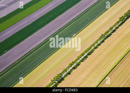 Paesi Bassi, Middenbeemster, Beemster Polder. UNESCO - Sito Patrimonio dell'umanità. Antenna Foto Stock