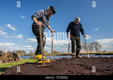 Paesi Bassi, Reeuwijk, Oukoopse polder, torba draghe. Torba di essiccazione Foto Stock