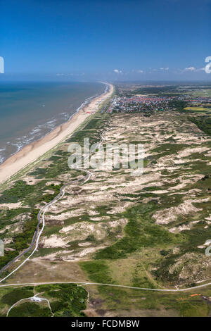 Paesi Bassi, Noordwijk, dune vicino al mare del Nord Foto Stock