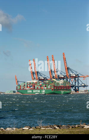 Paesi Bassi, Rotterdam. Porto di Rotterdam. Maasvlakte 2 porta. Contenitore più grande nave al mondo. Globo di CSCI da Hong Kong Foto Stock