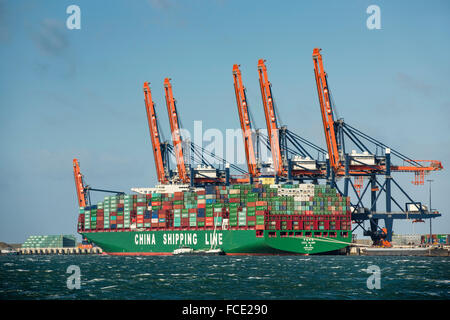 Paesi Bassi, Rotterdam. Porto di Rotterdam. Maasvlakte 2 porta. Contenitore più grande nave al mondo. Globo di CSCI da Hong Kong Foto Stock