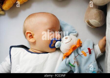 8 mesi bambino addormentato Foto Stock