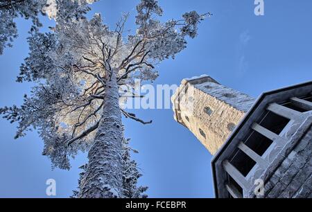 Vista inclinato del Aulanko lookout tower e alberi innevati in inverno. Con temperature esterne molto basse. Immagine hdr. Foto Stock