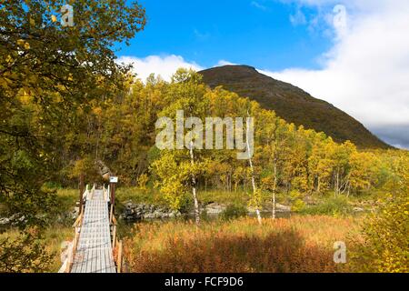 Autunno in Drvdalen Foto Stock