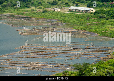 Miniere di sale a Katwe Crater Lake, Queen Elizabeth National Park, Uganda, Africa Foto Stock