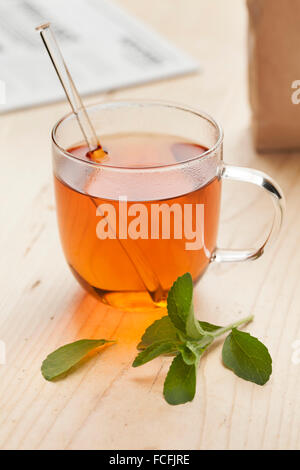 Vetro con tè e fresco Stevia rebaudiana lascia come dolcificante Foto Stock