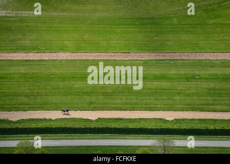 Una veduta aerea del cavallo galoppa vicino a Newmarket Foto Stock