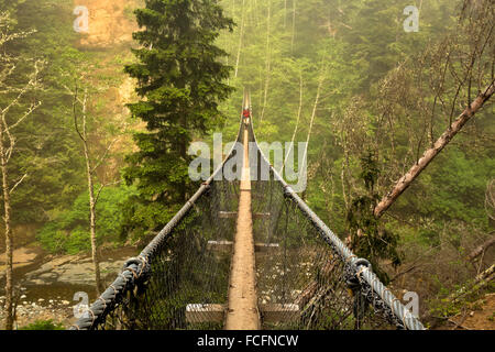 BC, Canada - West Coast Trail escursionista sulla sospensione ponte sul torrente di Logan in Pacific Rim National Park; West Coast Trail Foto Stock