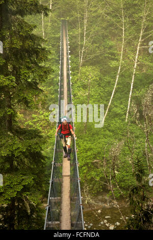 BRITISH COLUMBIA - escursionista attraversando il ponte di sospensione su Logan Creek su una mattinata nebbiosa lungo l'isola di Vancouver West Coast. Foto Stock