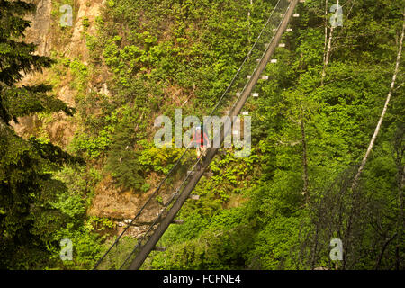 BRITISH COLUMBIA - escursionista attraversando il ponte di sospensione su Logan Creek su una mattinata nebbiosa lungo l'isola di Vancouver West Coast. Foto Stock