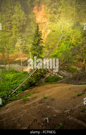 BRITISH COLUMBIA - West Coast Trail escursionista attraversando il ponte di sospensione su Logan Creek su una mattinata nebbiosa; Pacific Rim NP. Foto Stock