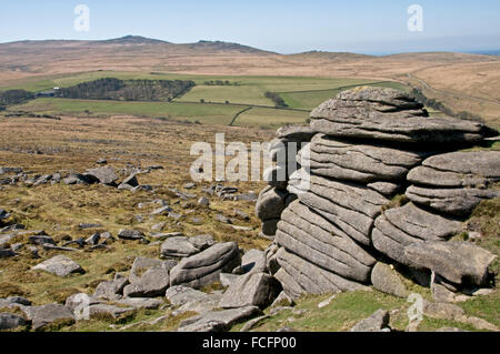 Su Belstone Tor, Dartmoor, guardando ad ovest verso High Willhays e Sì Tor, i mori picchi più alti Foto Stock