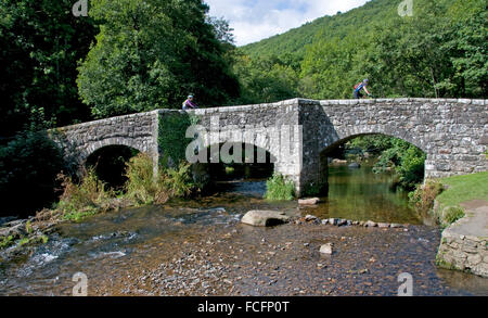 Fingle ponte che attraversa il fiume Teign, Dartmoor Foto Stock