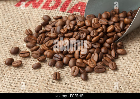 Arrosto di Malabar i chicchi di caffè provenienti da India su un sacco di iuta Foto Stock