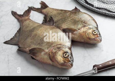 Pescato fresco crudo breams comune Foto Stock