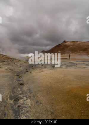 Pentola di fango e attività geotermica a Namaskard, Myvatn, Islanda. Foto Stock
