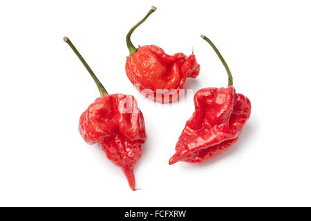 Rosso fresco scorpion Hot Chili Peppers su sfondo bianco Foto Stock