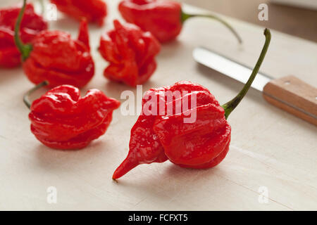 Rosso fresco scorpion hot chili peppers Foto Stock