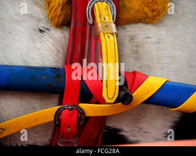 Dettaglio del cavallo e accessori in pelle presso il famoso viaggiatori annuale raduno a Appleby Horse Fair, Cumbria Inghilterra England Regno Unito Foto Stock