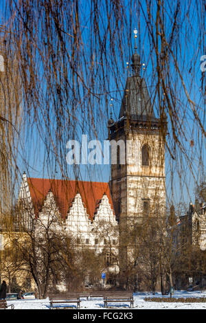 Karlovo namesti, Municipio nuovo Charles Square, Praga, Repubblica Ceca Foto Stock