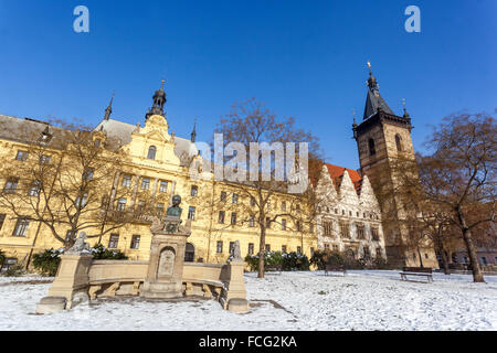 Karlovo namesti, Municipio nuovo Charles Square, Praga, Repubblica Ceca Foto Stock