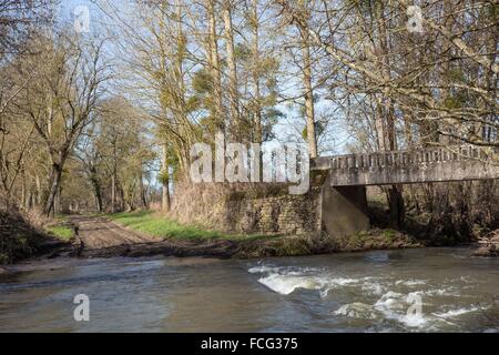 La provincia di Berry, George Sand's Black Valley Foto Stock