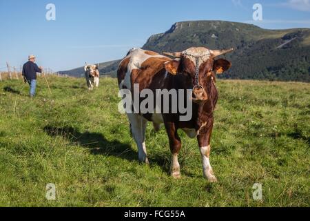 Illustrazione Di PUY-DE-DOME, (63) Auvergne Francia Foto Stock