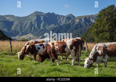 Illustrazione Di PUY-DE-DOME, (63) Auvergne Francia Foto Stock