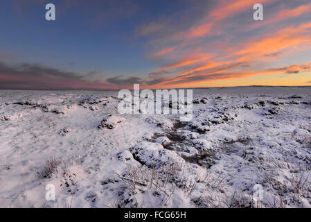 Snowy brughiera a fianco del The Pennine Way sopra Glossop nel Derbyshire su una splendida serata invernale al tramonto. Foto Stock