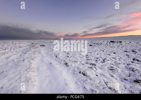 Snowy brughiera a fianco del The Pennine Way sopra Glossop nel Derbyshire su una splendida serata invernale al tramonto. Foto Stock