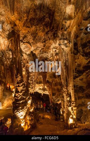 La RISERVA NATURALE DELLE GOLE DELL'ARDECHE, ARDECHE (07), Rhone Alpes, Francia Foto Stock