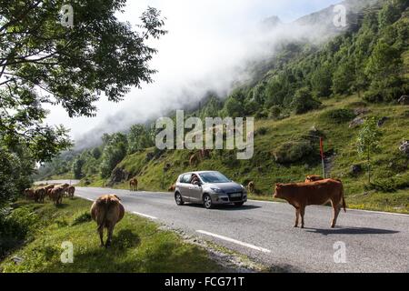 ESTIVE nelle Hautes Pirenei (65), Midi Pirenei, Francia Foto Stock