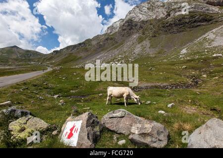 ESTIVE nelle Hautes Pirenei (65), Midi Pirenei, Francia Foto Stock