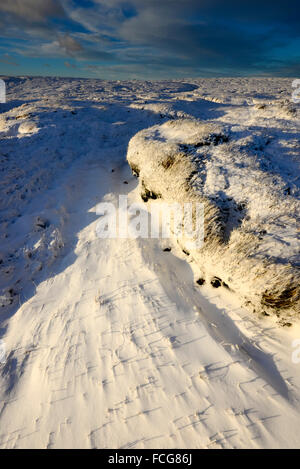 Neve battente su mori di Bleaklow nel picco elevato, Derbyshire. Luce solare bassa sulla neve. Foto Stock