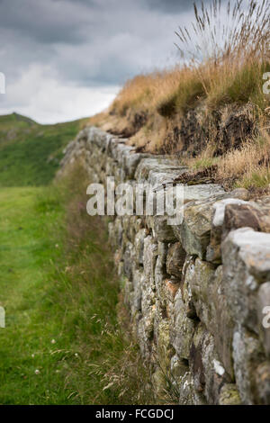 Il Vallo di Adriano vicino al forte romano a Housesteads, Northumberland, England, Regno Unito Foto Stock