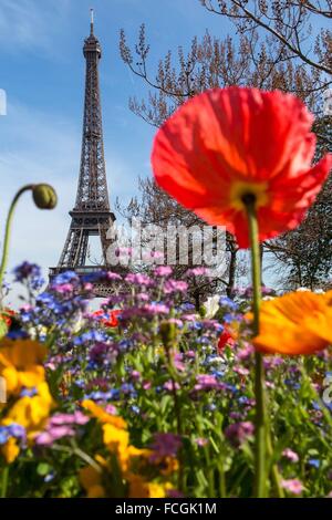 Illustrazione della città di Parigi (75), Francia Foto Stock