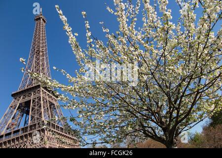 Illustrazione della città di Parigi (75), Francia Foto Stock