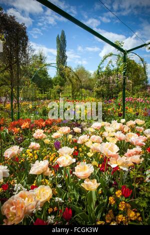 Il Claude Monet il giardino, Giverny, Normandia, Francia Foto Stock