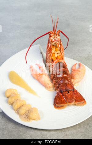 I piatti dal ricettario da Laurent clemente, chef stella Michelin, Chartres, Francia Foto Stock