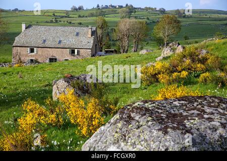 Illustrazione DELLA LOZERE (48), in Francia, in Europa Foto Stock