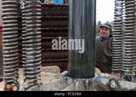 La produzione del sidro di fattoria, Normandia, Francia Foto Stock