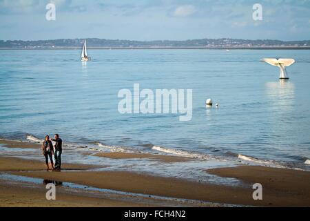 Illustrazione della baia di Arcachon, (33) GIRONDE, Francia Foto Stock