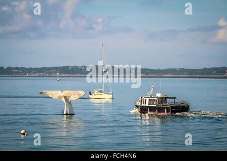 Illustrazione della baia di Arcachon, (33) GIRONDE, Francia Foto Stock