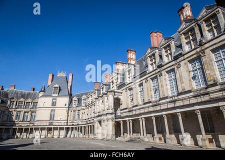 Illustrazione DELLA SEINE ET MARNE (77), ILE DE FRANCE, Francia Foto Stock