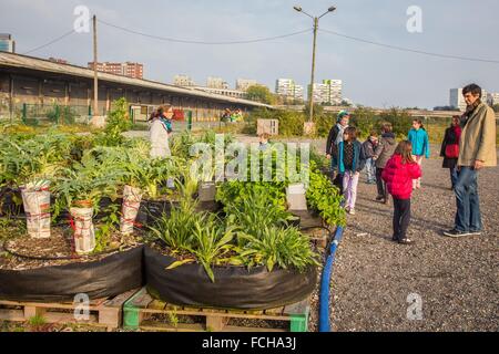 Fattoria urbana, Lille, (59) NORD, NORD PAS DE CALAIS, Francia Foto Stock
