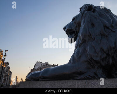 La famosa Trafalgar Square di Lion Foto Stock