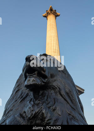 La famosa Trafalgar Square di Lion Foto Stock