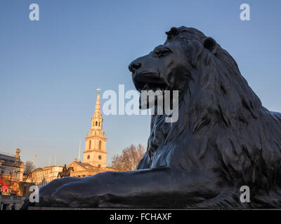 La famosa Trafalgar Square di Lion Foto Stock